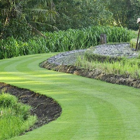 Villa Puri Bawana An Elite Haven Selemadeg Exteriör bild