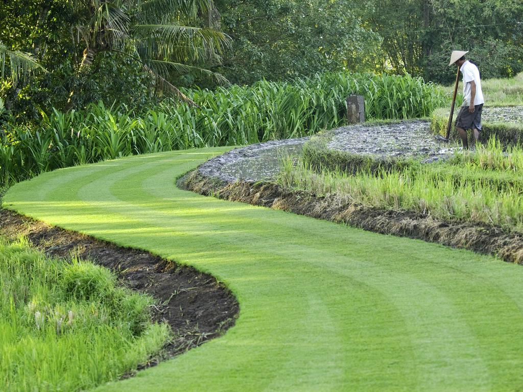Villa Puri Bawana An Elite Haven Selemadeg Exteriör bild